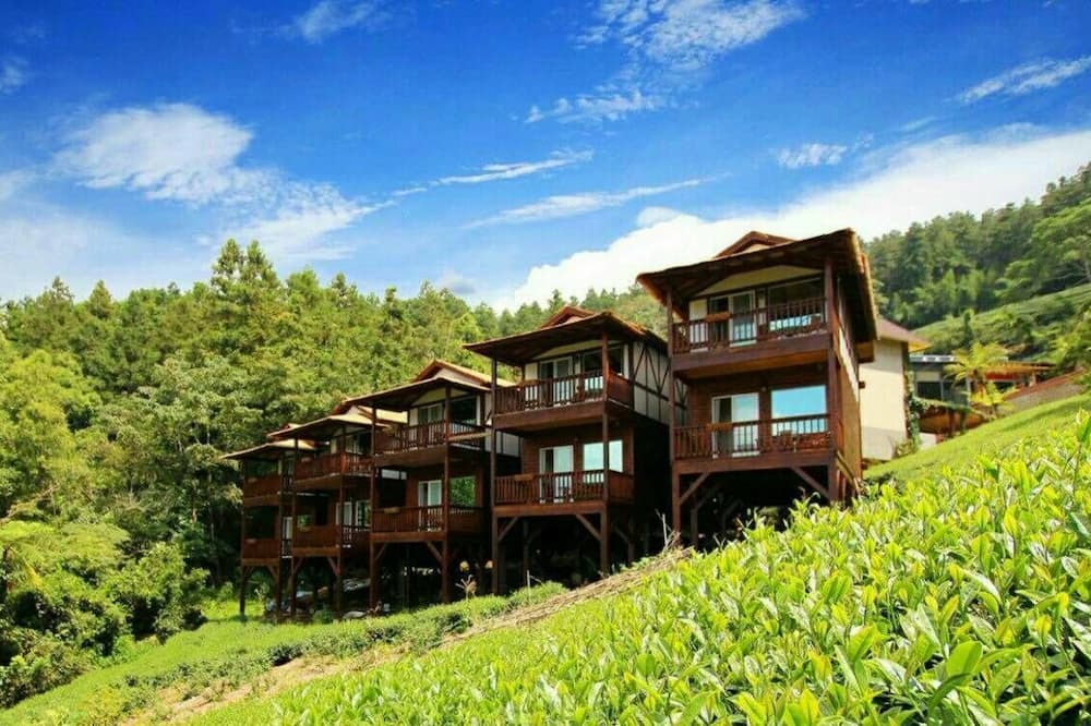 Photo of Outdoor in Alishan