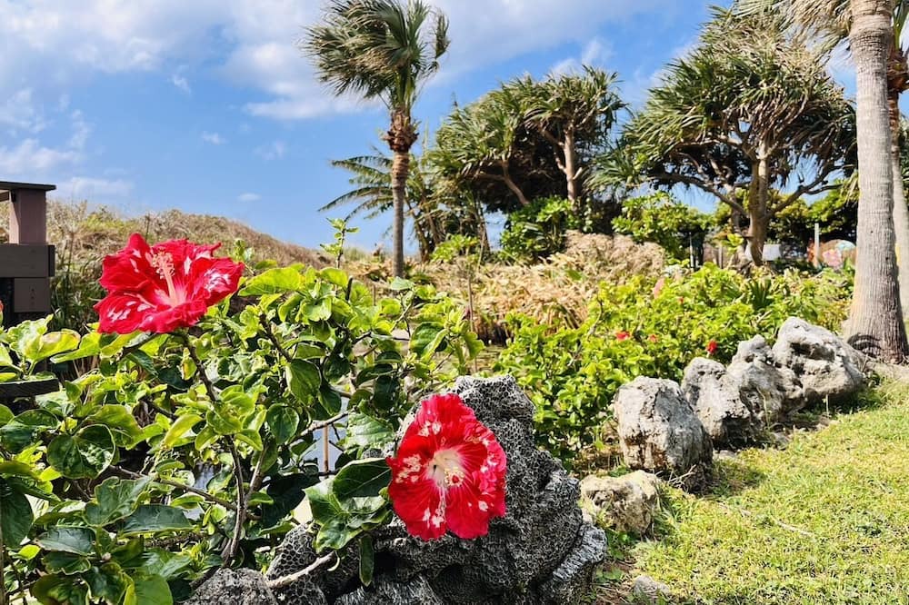 Photo of Outdoor in Eluan