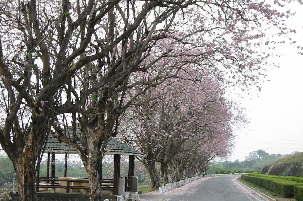 Photo of Outdoor in Liujia District