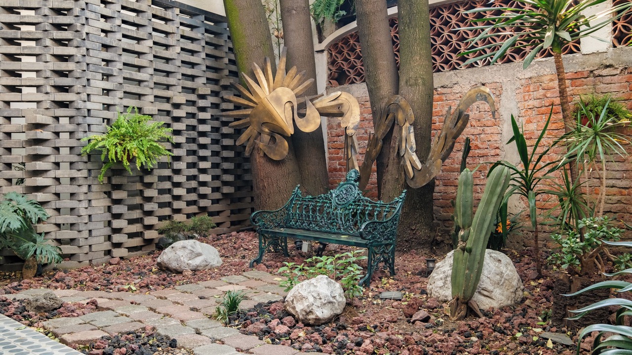 Photo of Outdoor in Miguel Hidalgo