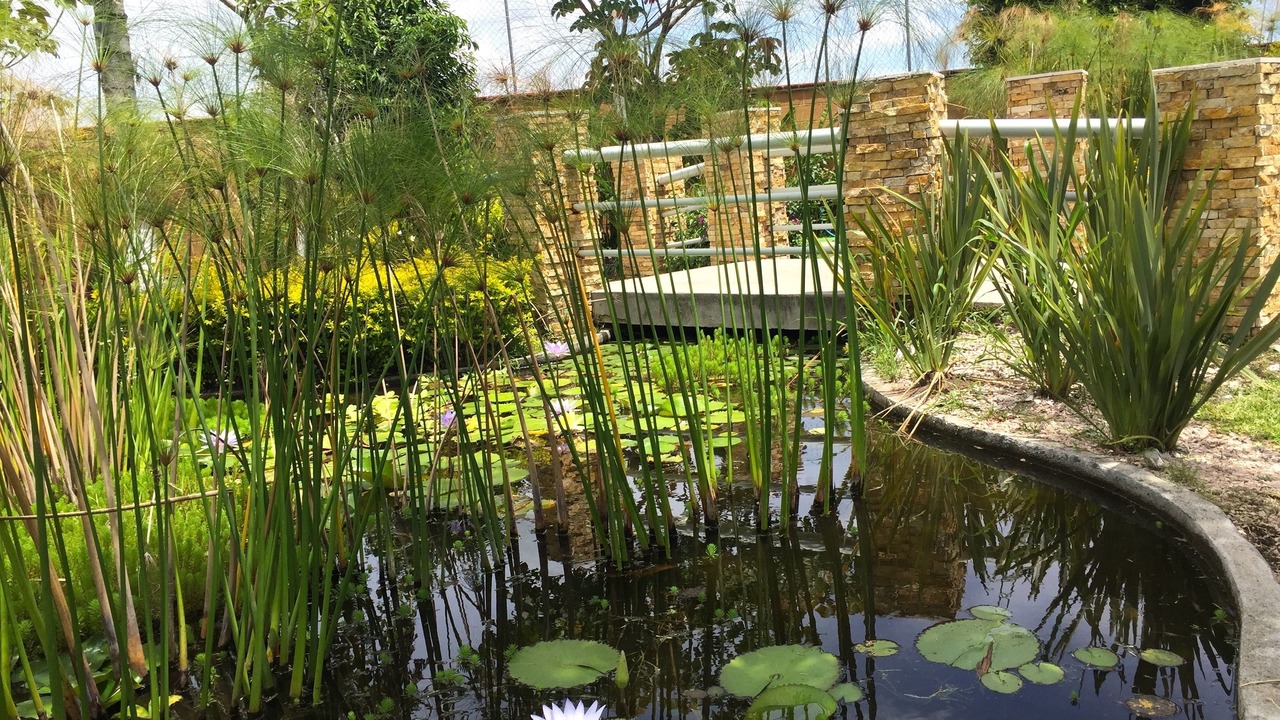 Photo of Outdoor in Yautepec