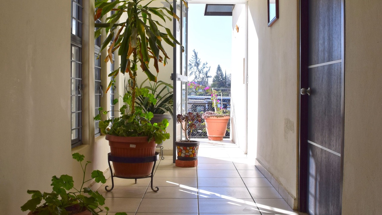 Photo of Outdoor in San Lorenzo Cacaotepec