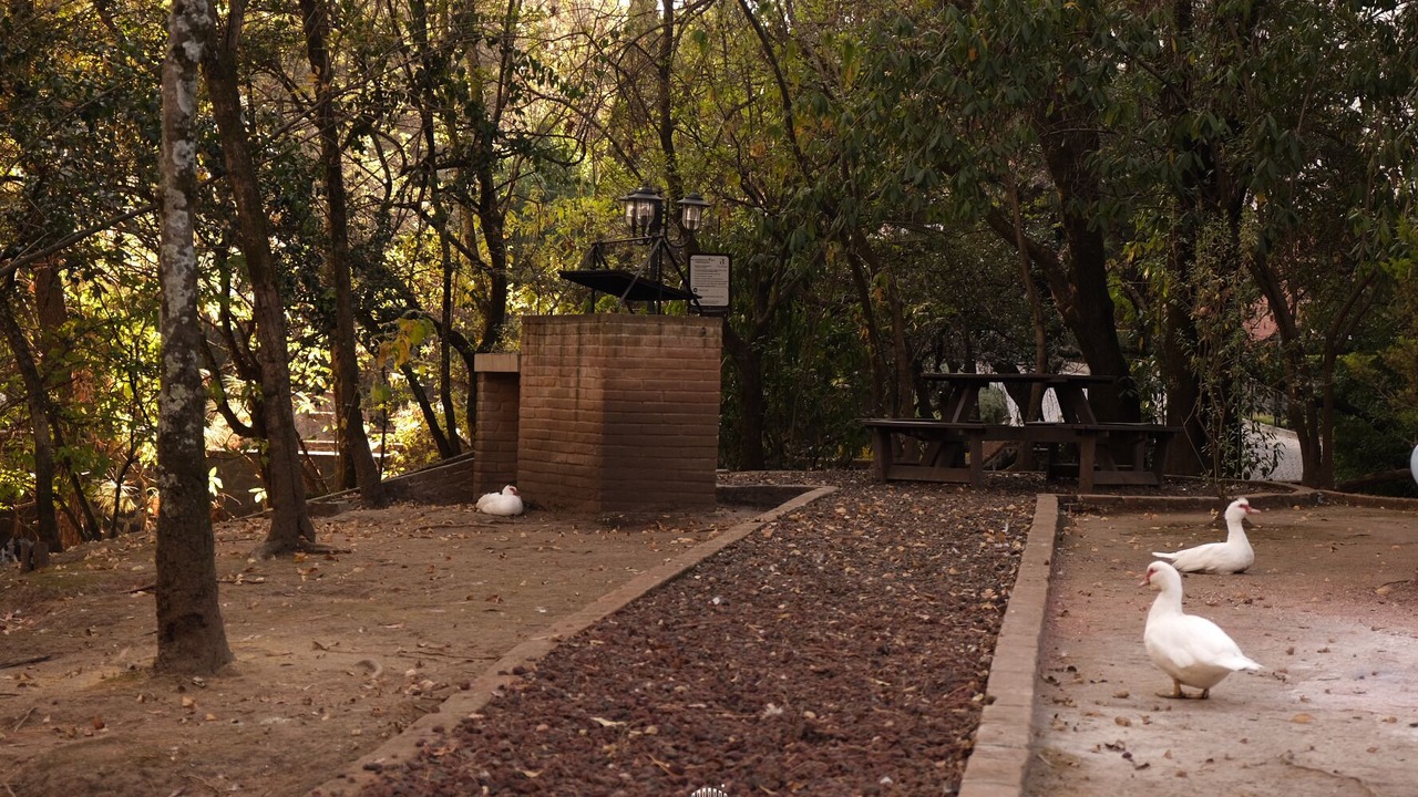 Photo of Outdoor in Cuajimalpa