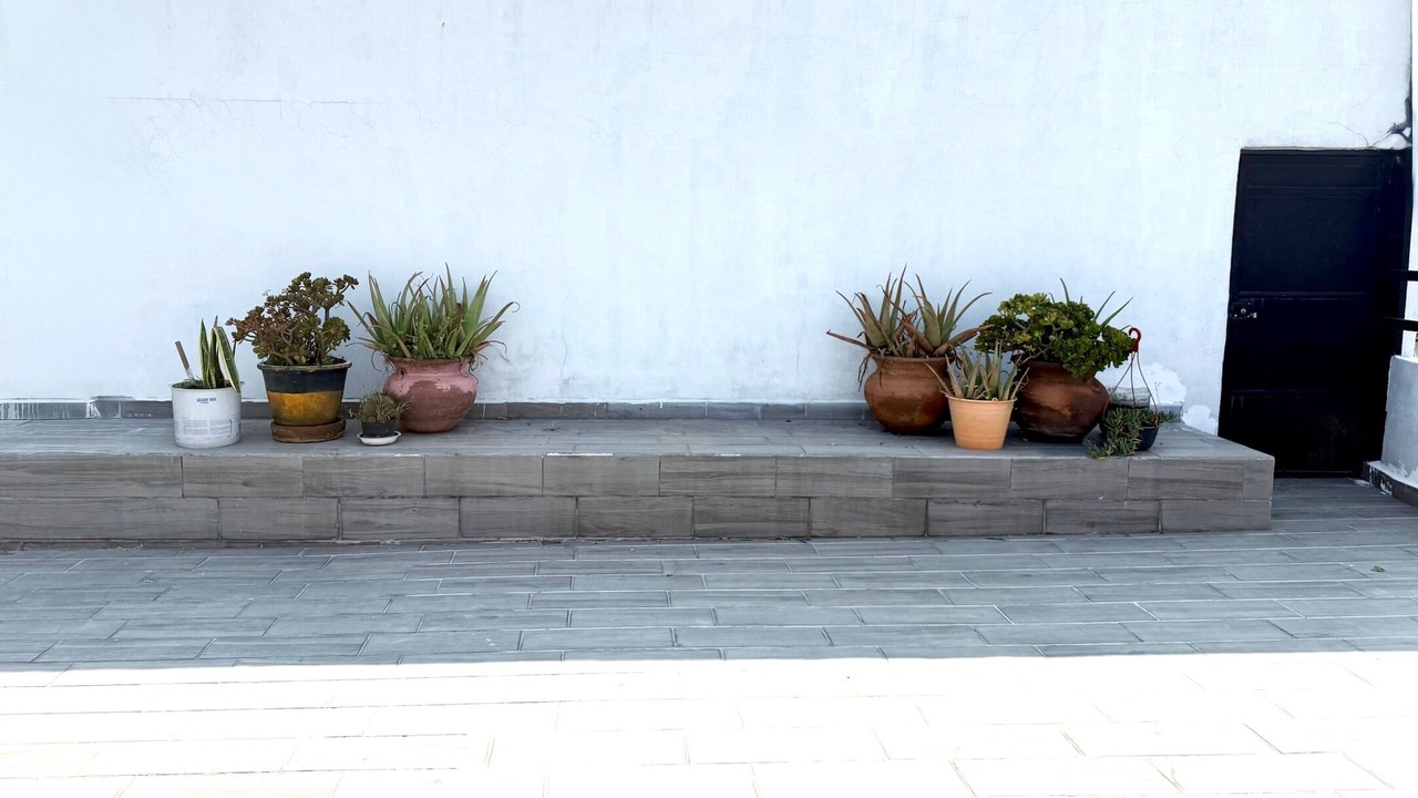 Photo of Outdoor in Benito Juarez
