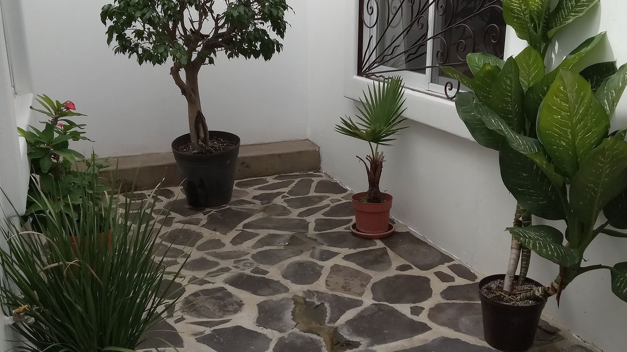 Photo of Outdoor in Ajijic