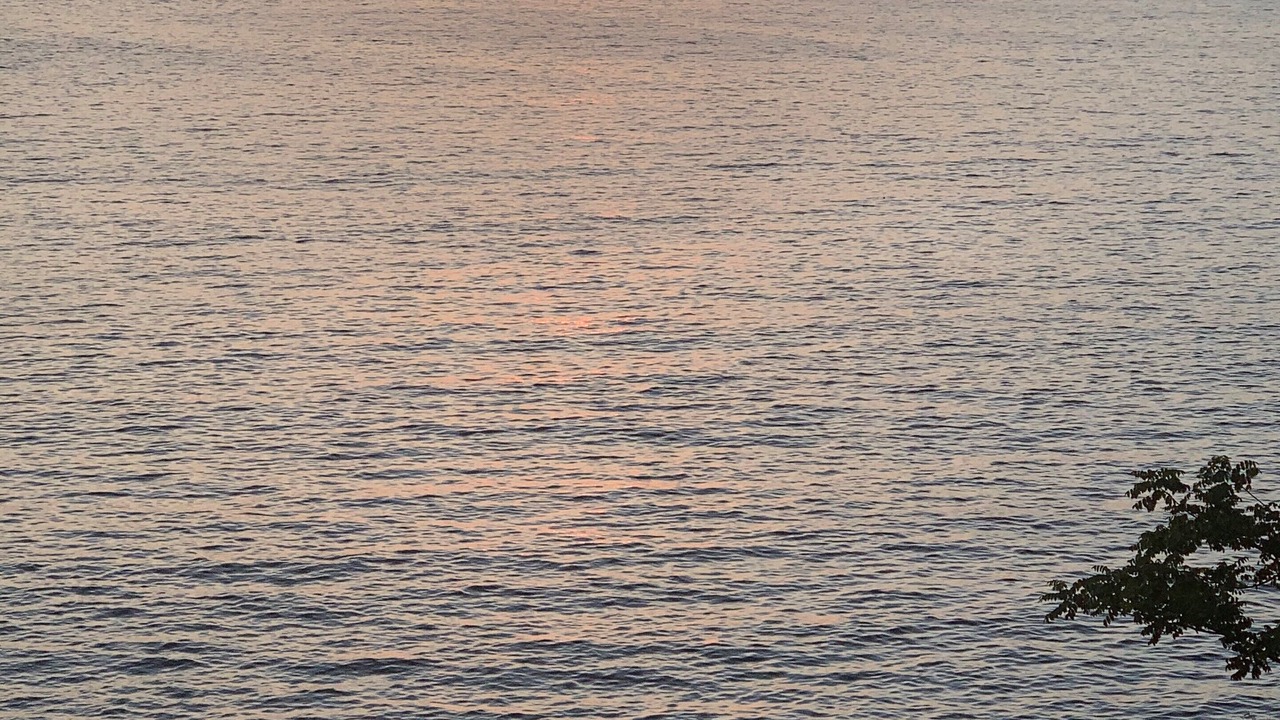 Photo of Others in Mismaloya