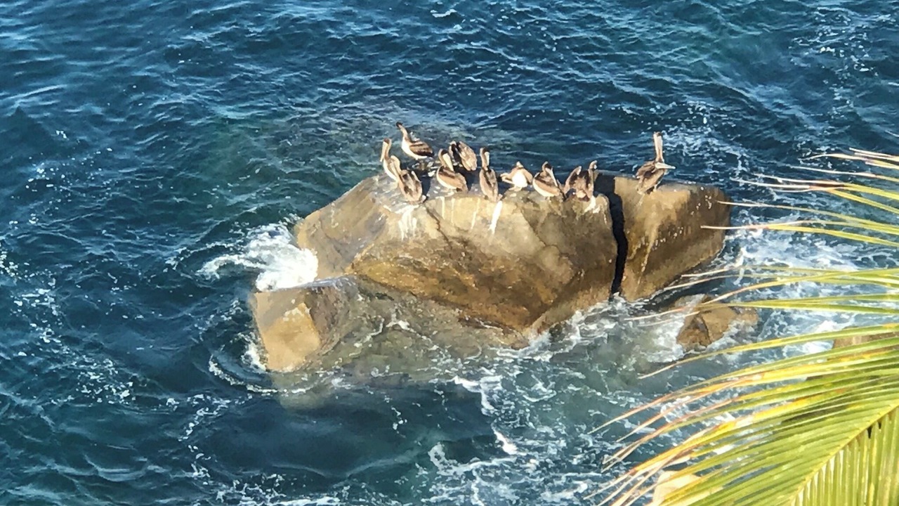 Photo of Outdoor in Mismaloya