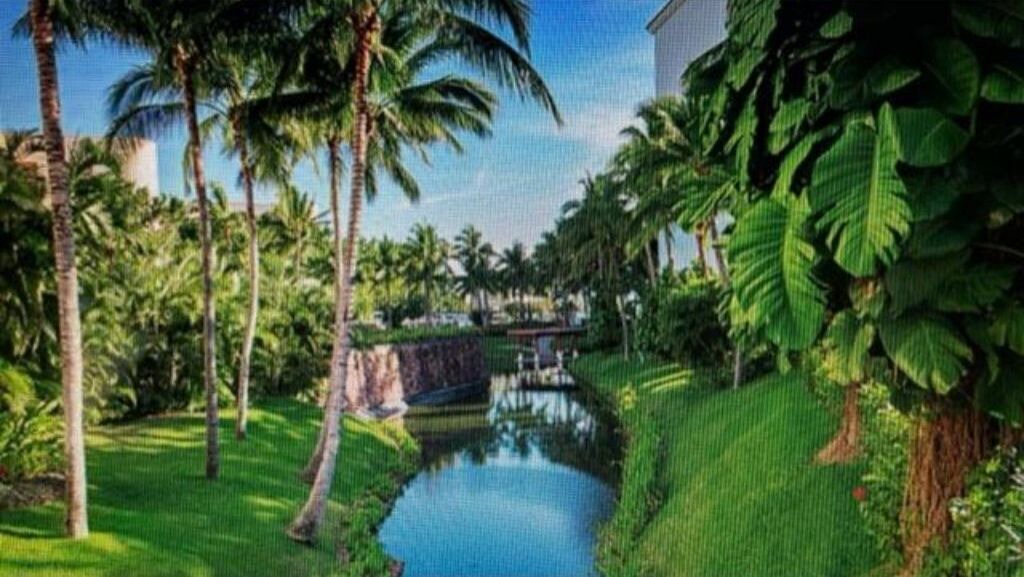 Photo of Outdoor in Isla Iguana