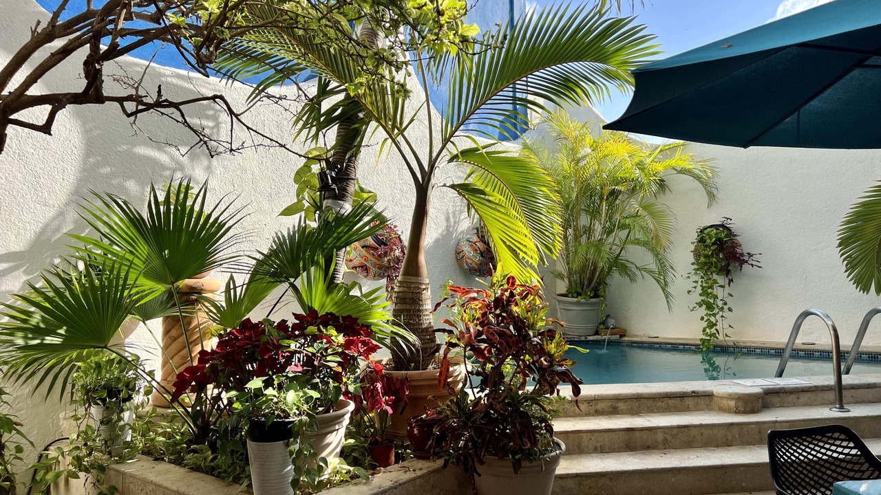 Photo of Outdoor in Centro - Supmza 001