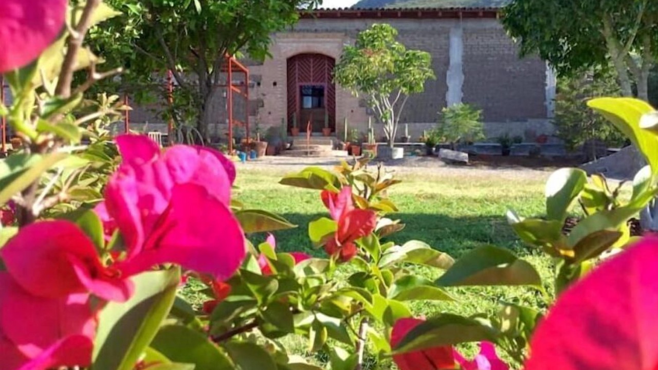 Photo of Outdoor in Tlacolula de Matamoros