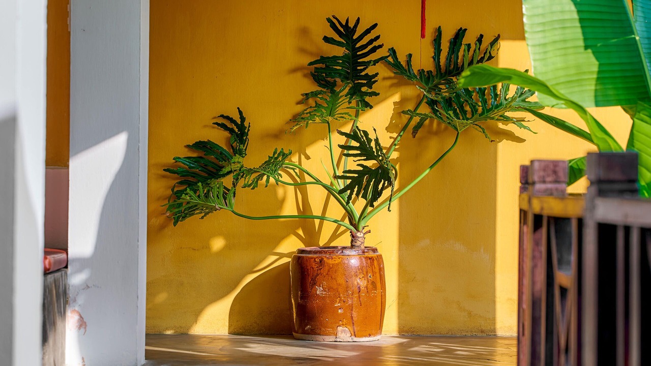 Photo of Outdoor in Cam Thanh
