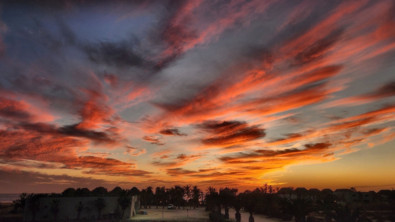Photo of Outdoor in Cerritos