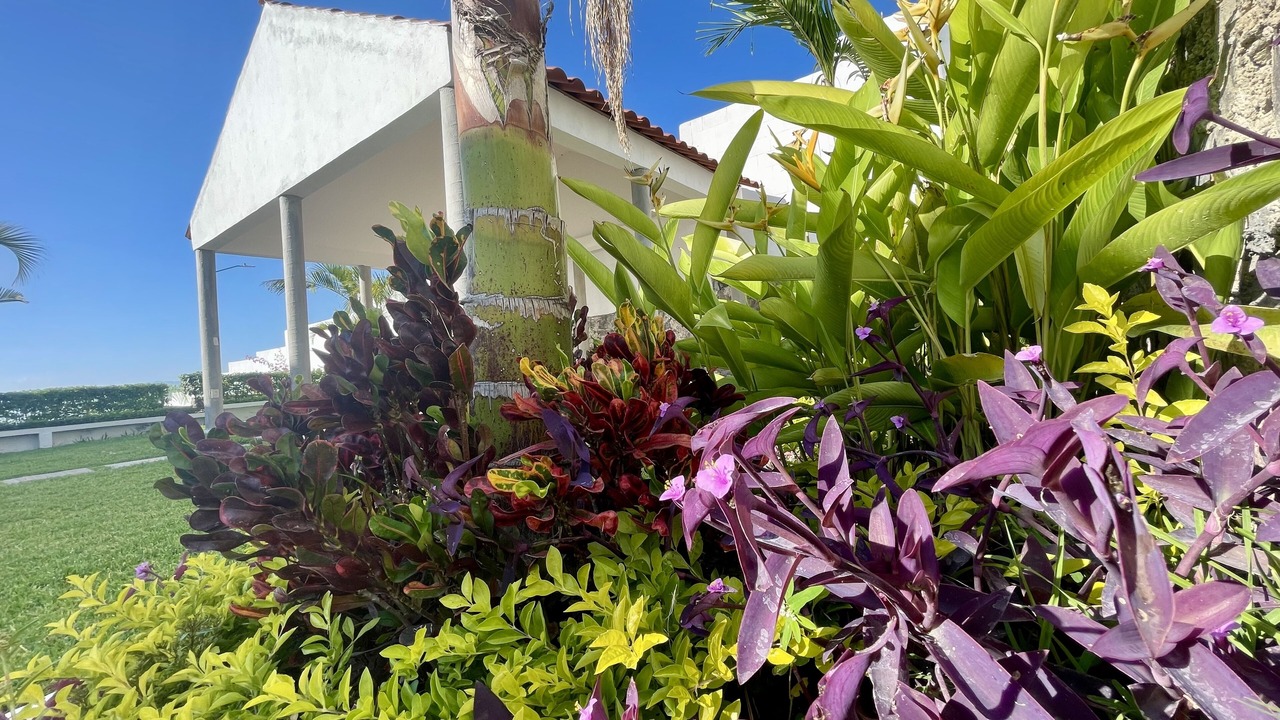 Photo of Outdoor in Morelos