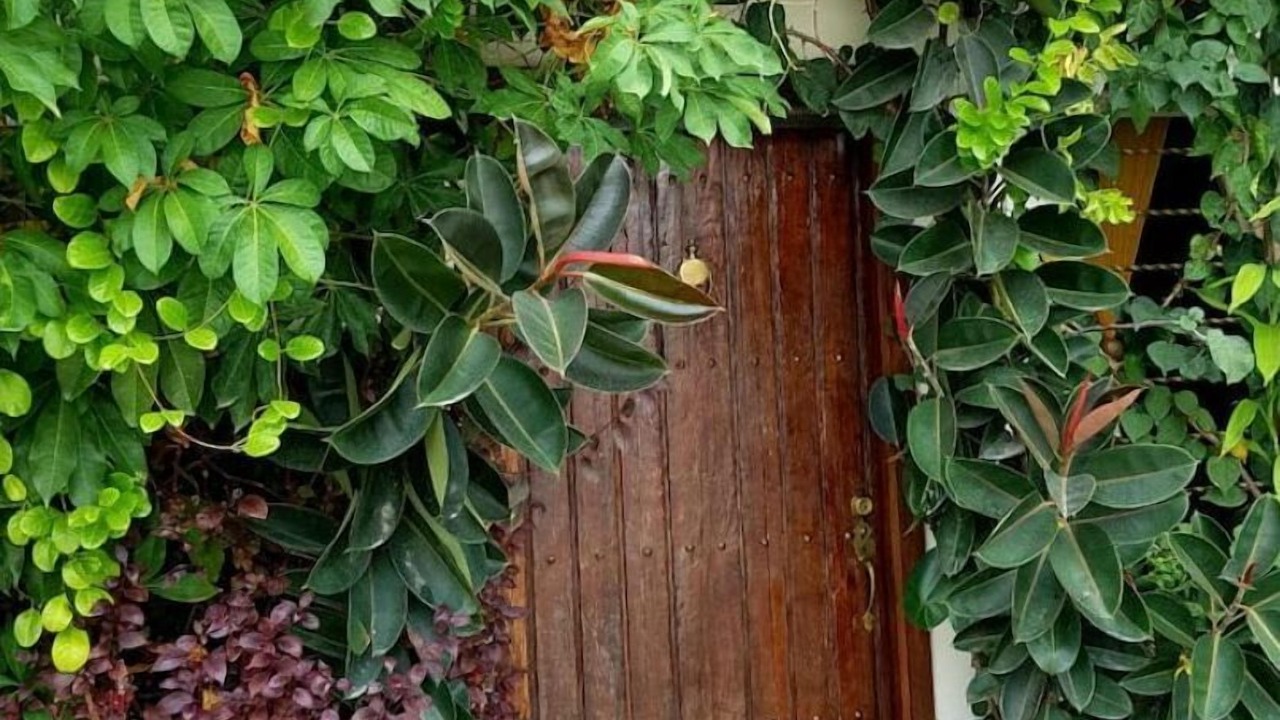 Photo of Outdoor in Puerto Vallarta