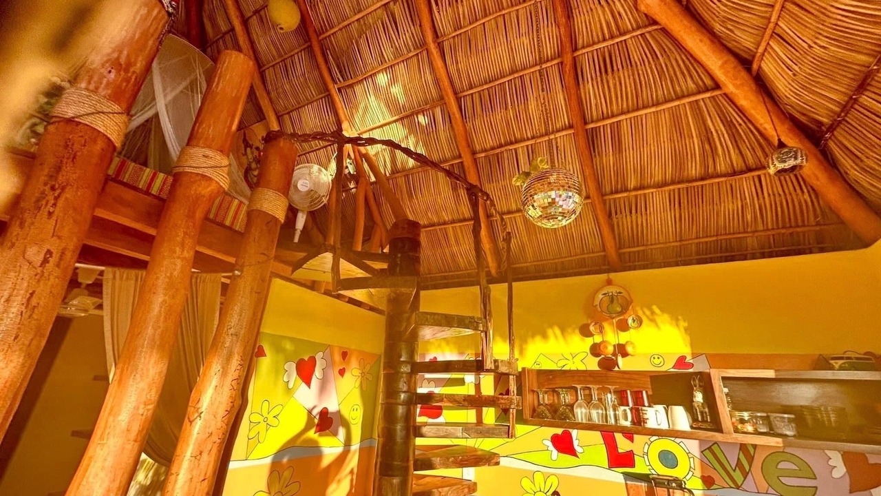 Photo of Others in La Manzanilla