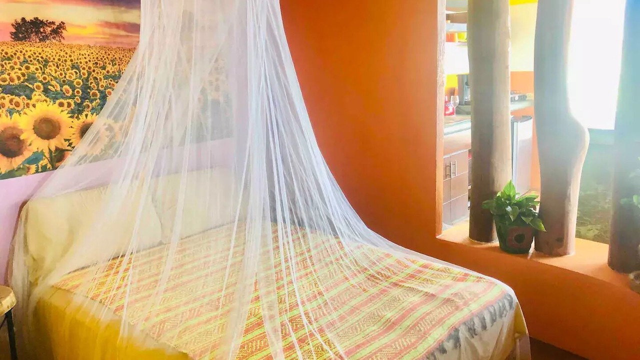 Photo of Bedroom in La Manzanilla