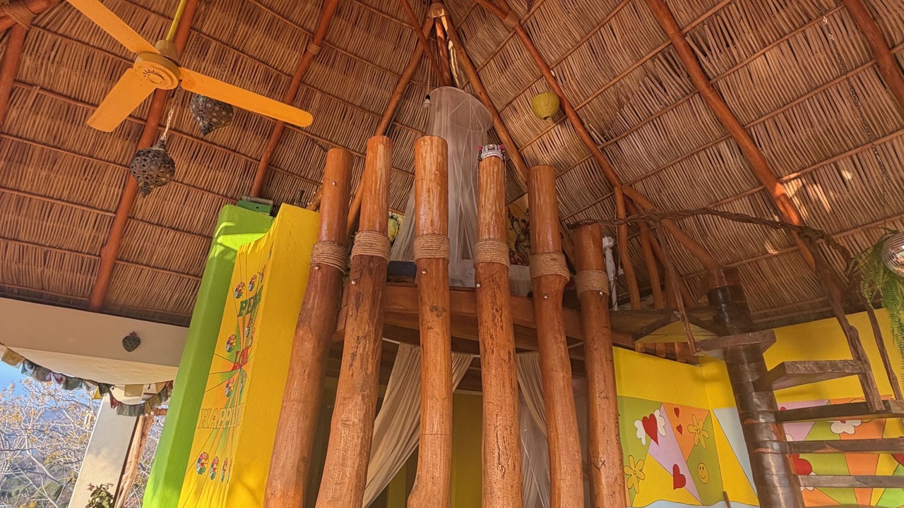 Photo of Outdoor in La Manzanilla