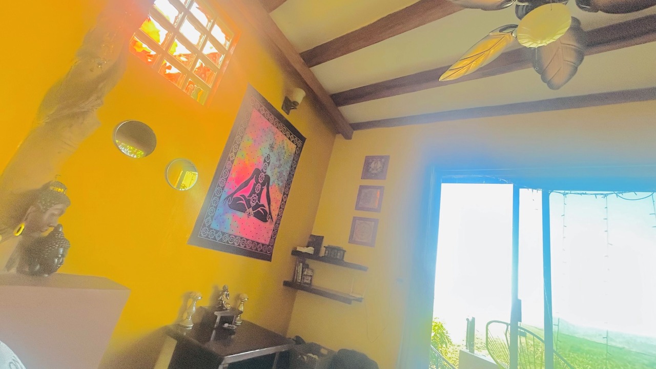 Photo of Others in La Manzanilla