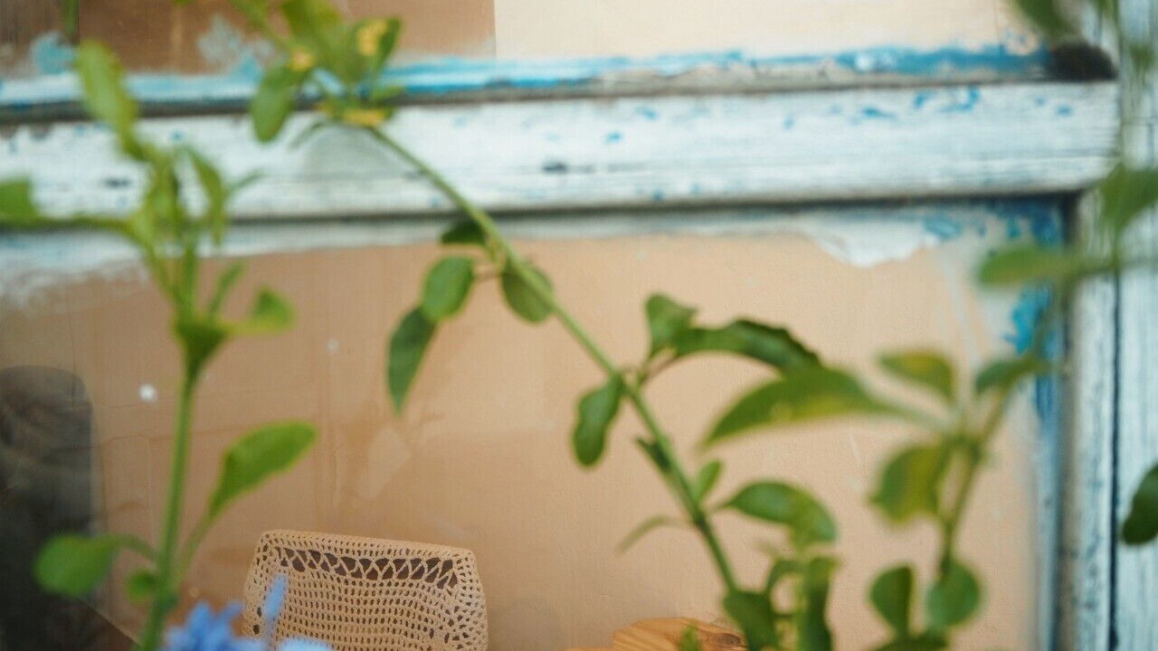 Photo of Outdoor in Da Lat