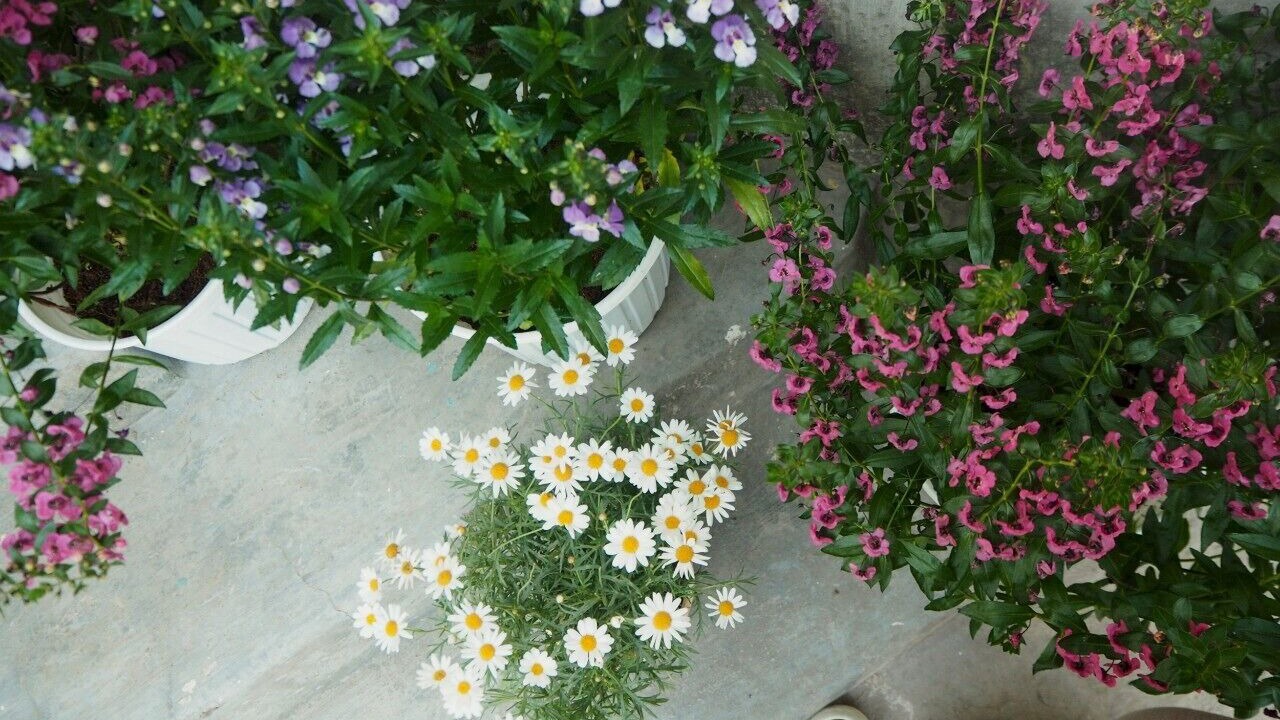 Photo of Outdoor in Da Lat