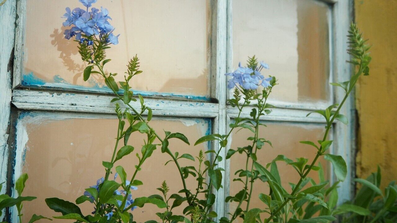 Photo of Outdoor in Da Lat