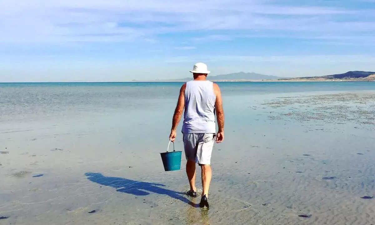 Photo of Others in Cholla Bay
