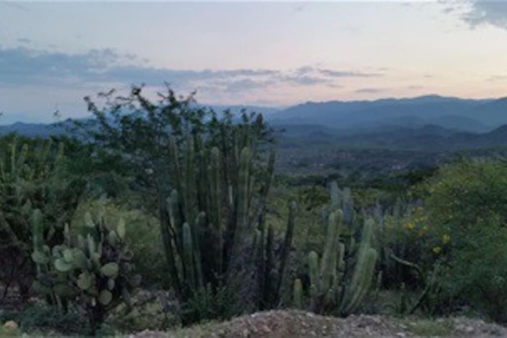 Photo of Others in Santa Maria Tecomavaca