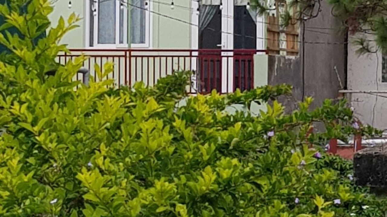 Photo of Outdoor in Da Lat