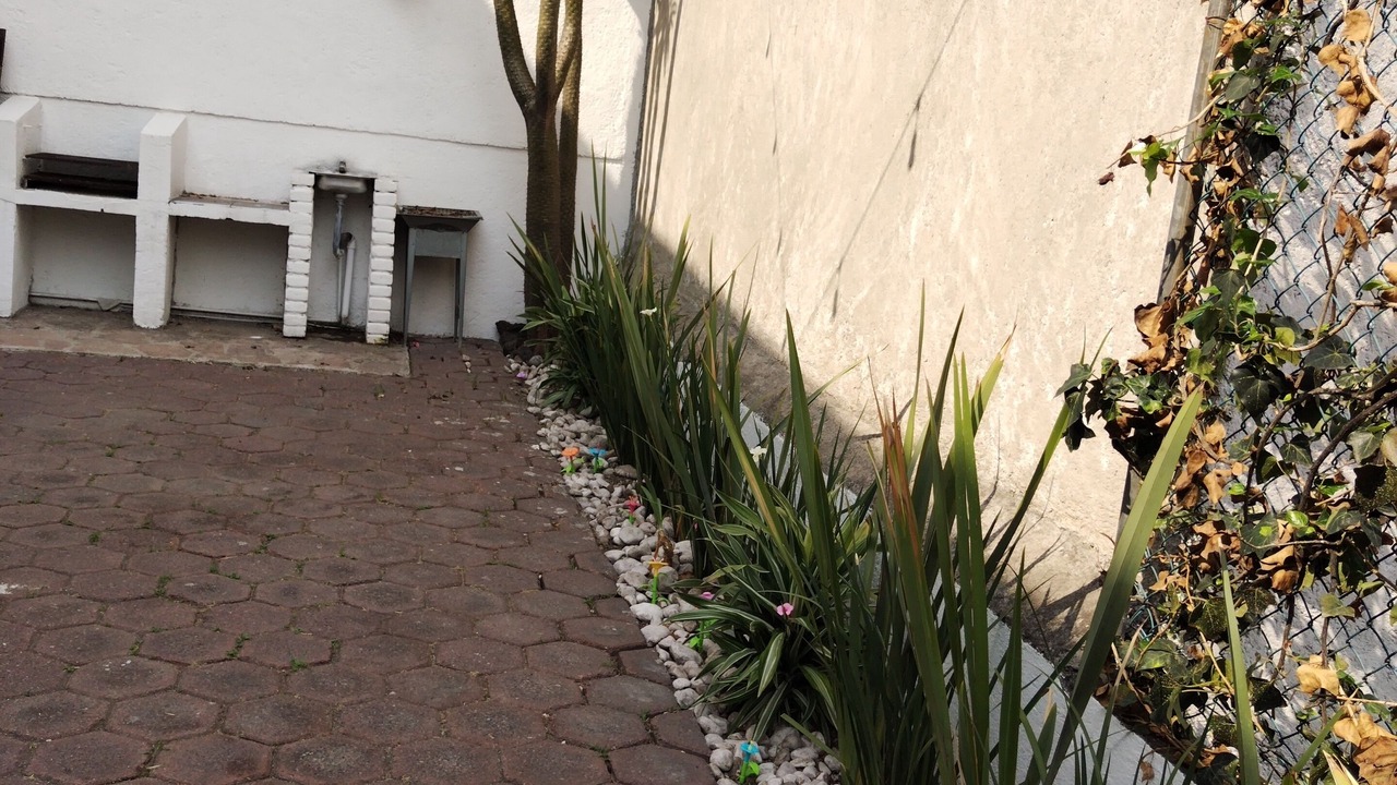 Photo of Outdoor in Naucalpan