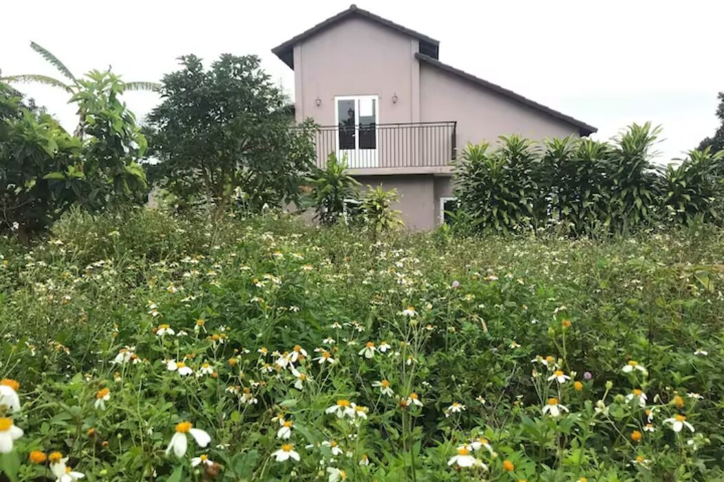 Photo of Outdoor in Bao Loc