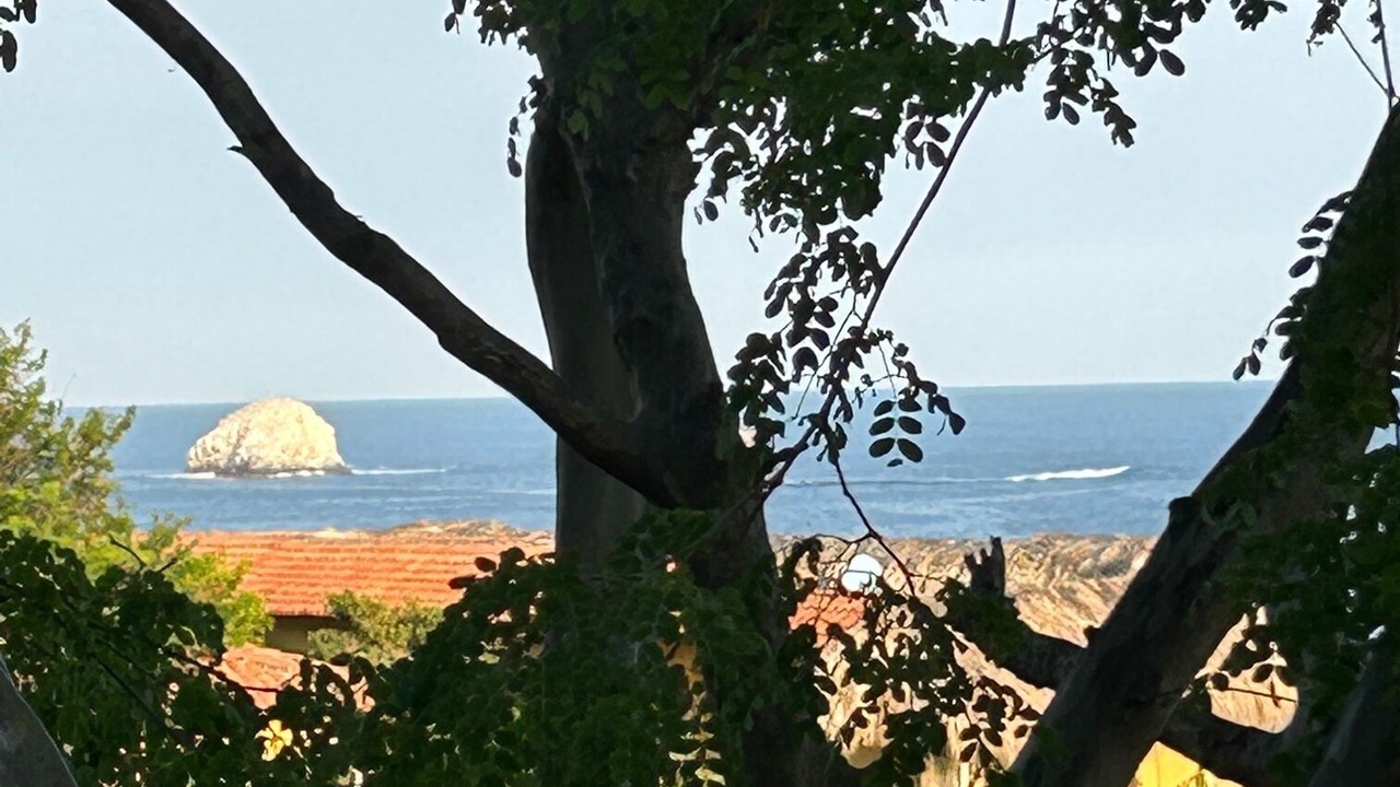Photo of Outdoor in San Agustinillo