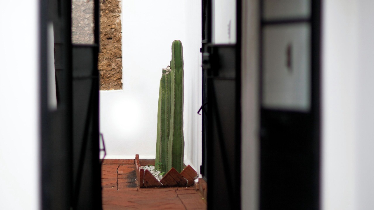 Photo of Others in Centro