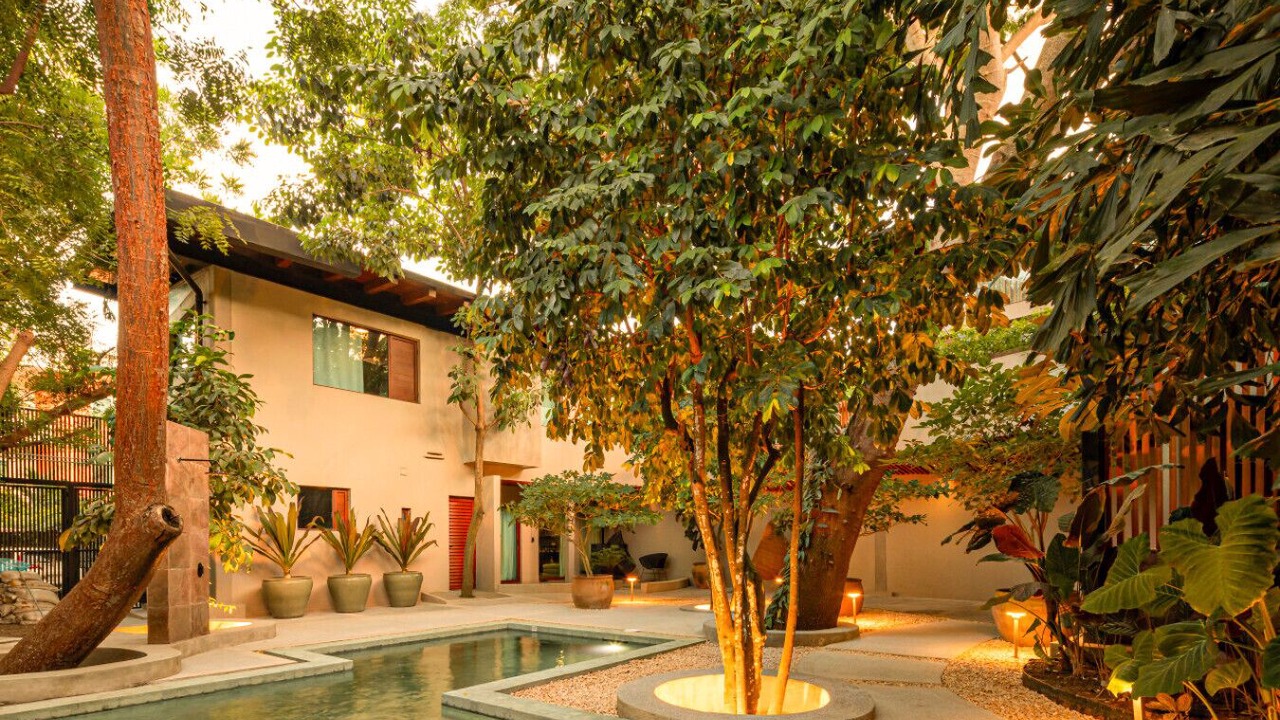 Photo of Outdoor in Sayulita