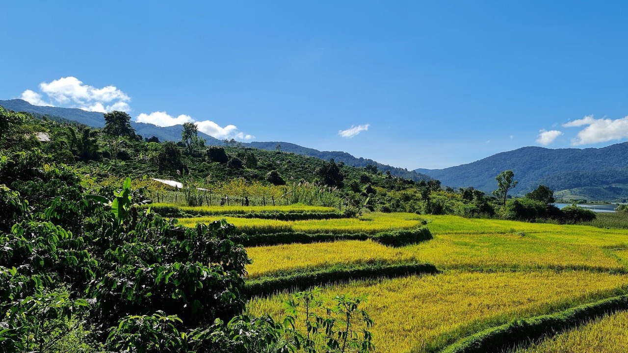 Photo of Others in Di Linh