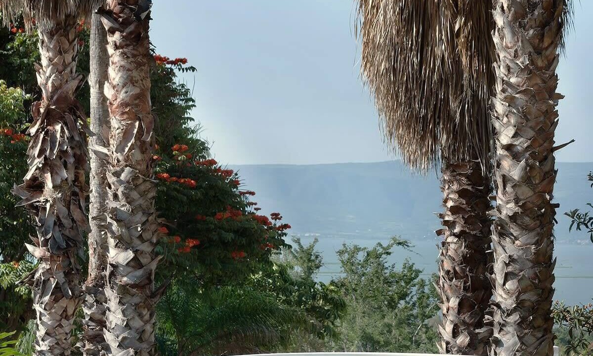 Photo of Others in Ajijic