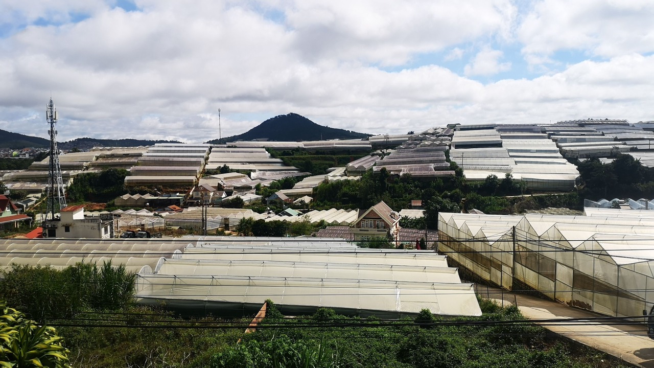 Photo of Outdoor in Da Lat