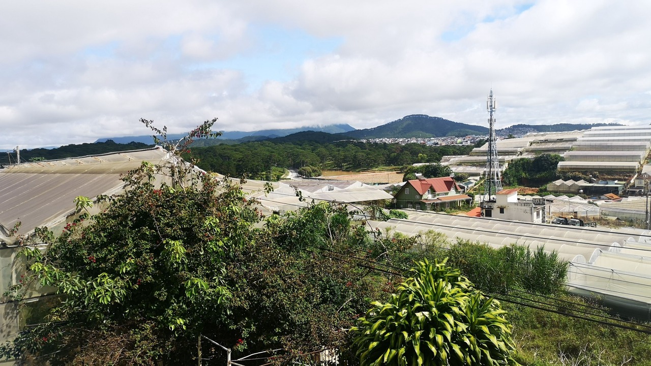 Photo of Others in Da Lat