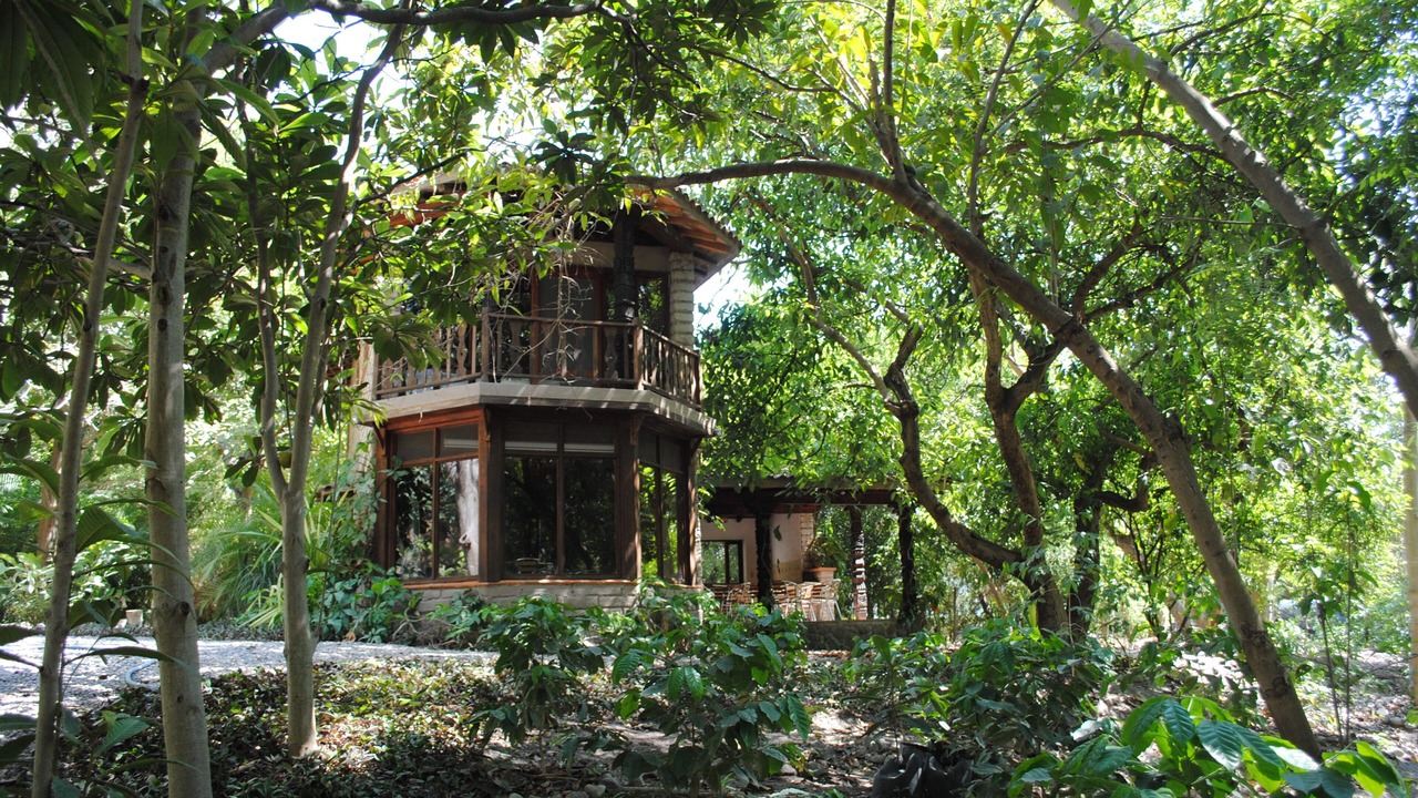 Photo of Outdoor in Xoxocotla