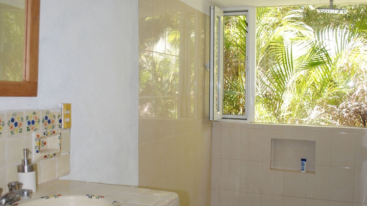 Photo of Bathroom in Xoxocotla