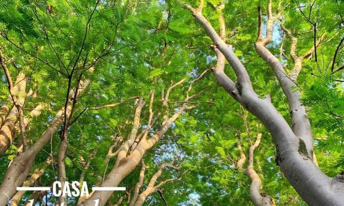 Photo of Outdoor in Xoxocotla