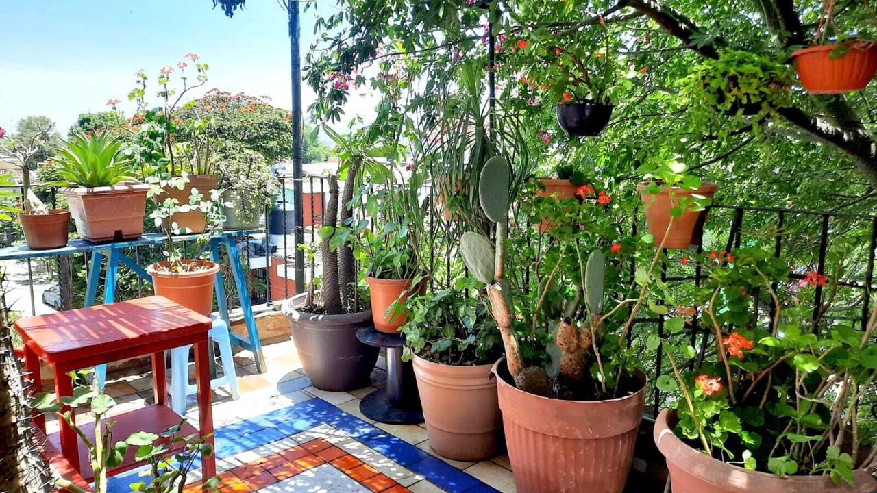 Photo of Outdoor in Oaxaca
