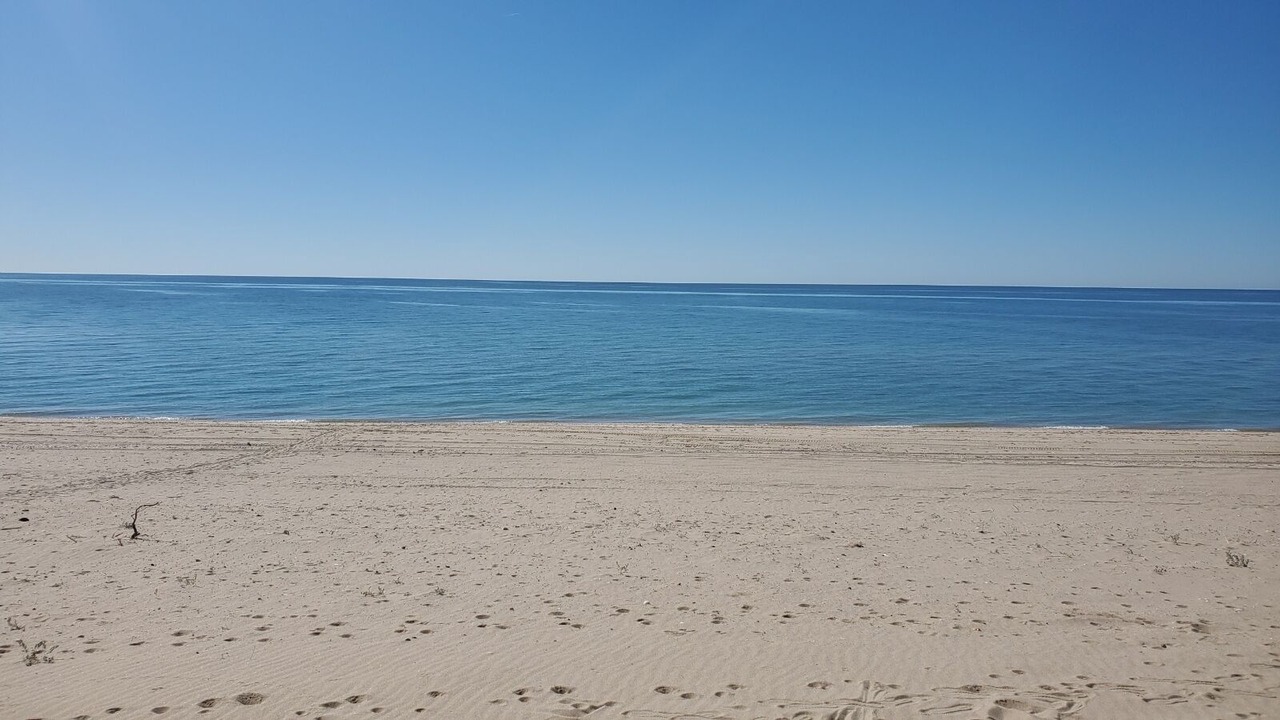 Photo of Others in Puerto Penasco
