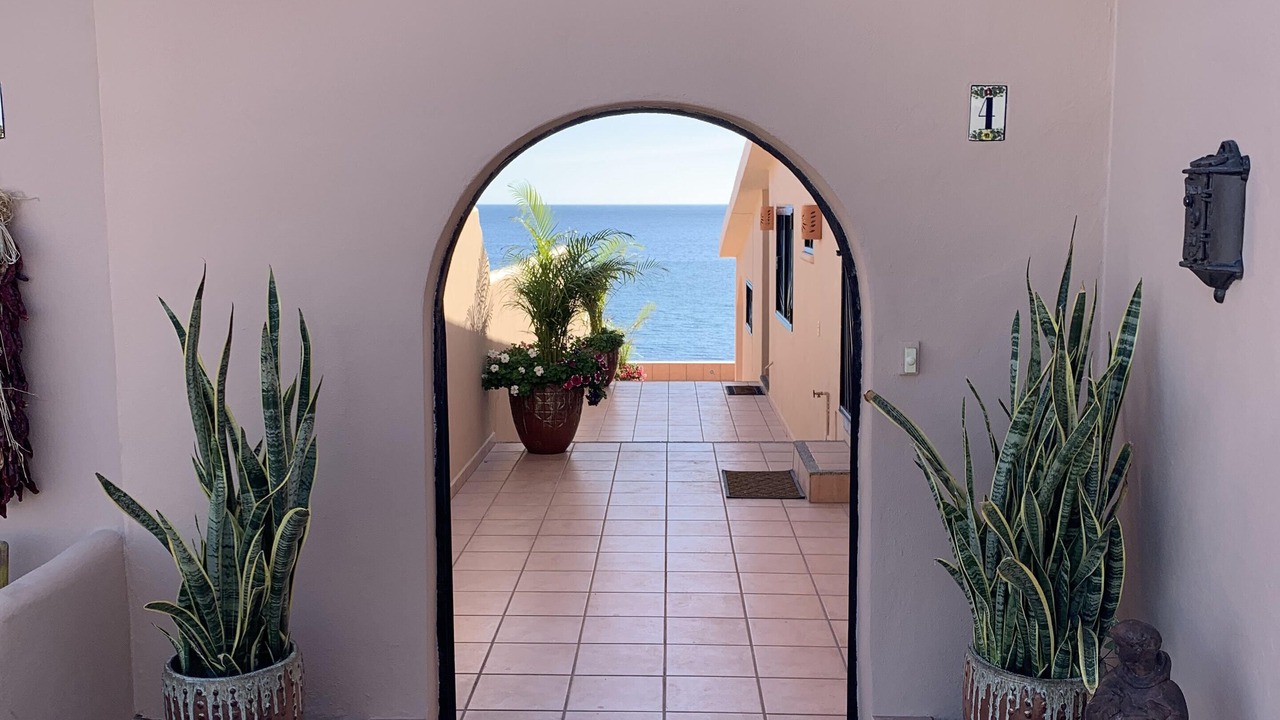Photo of Outdoor in San Carlos