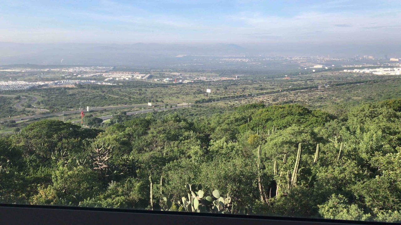 Photo of Others in Queretaro