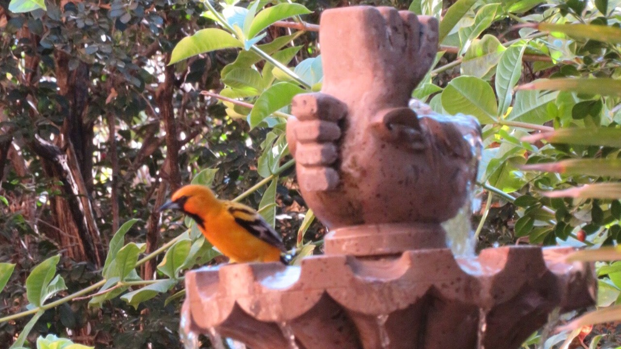 Photo of Outdoor in Barra de Navidad