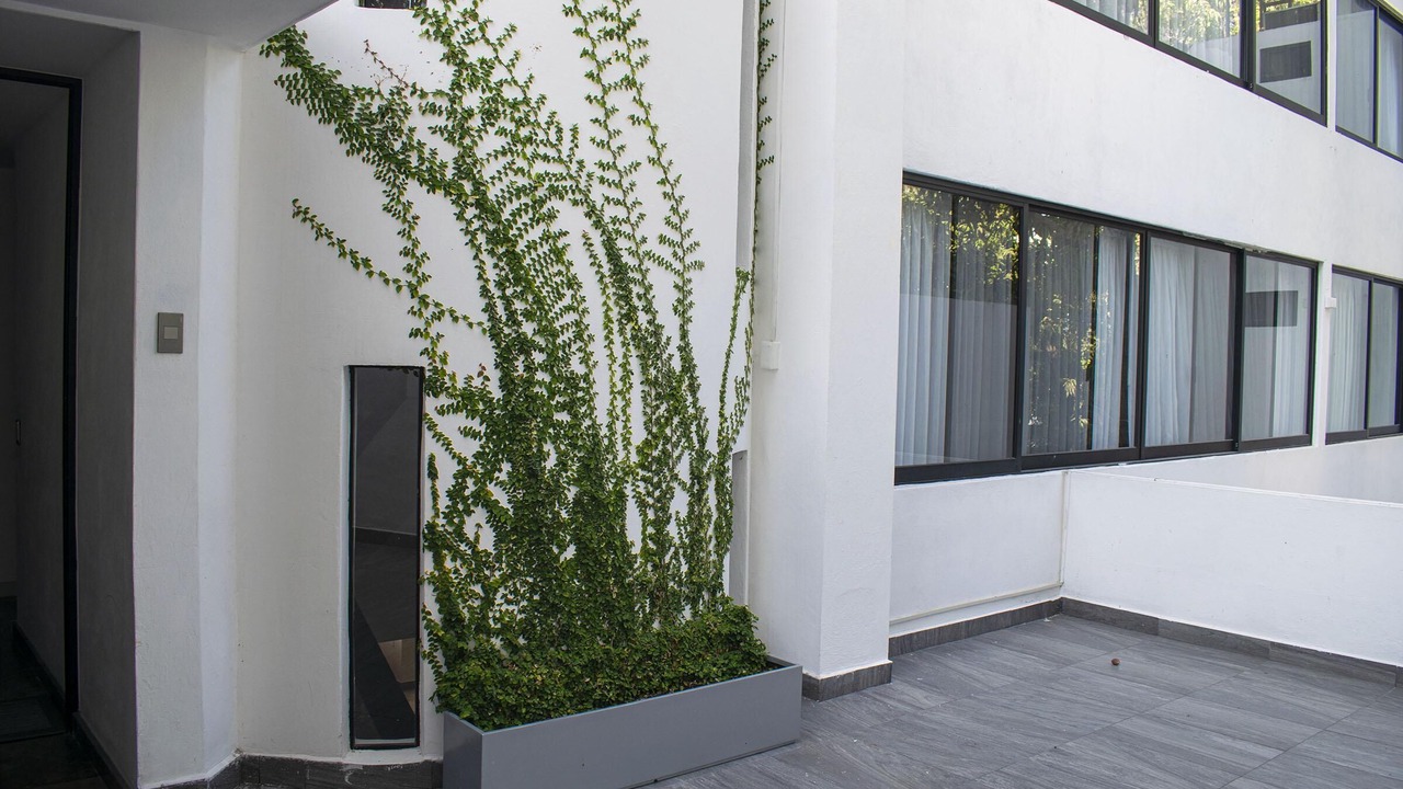 Photo of Outdoor in Downtown Mazatlan