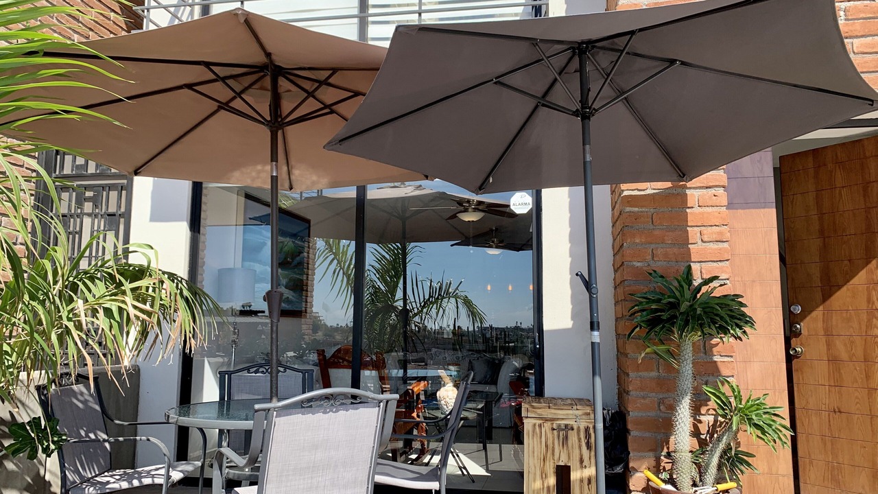 Photo of Outdoor in San Carlos