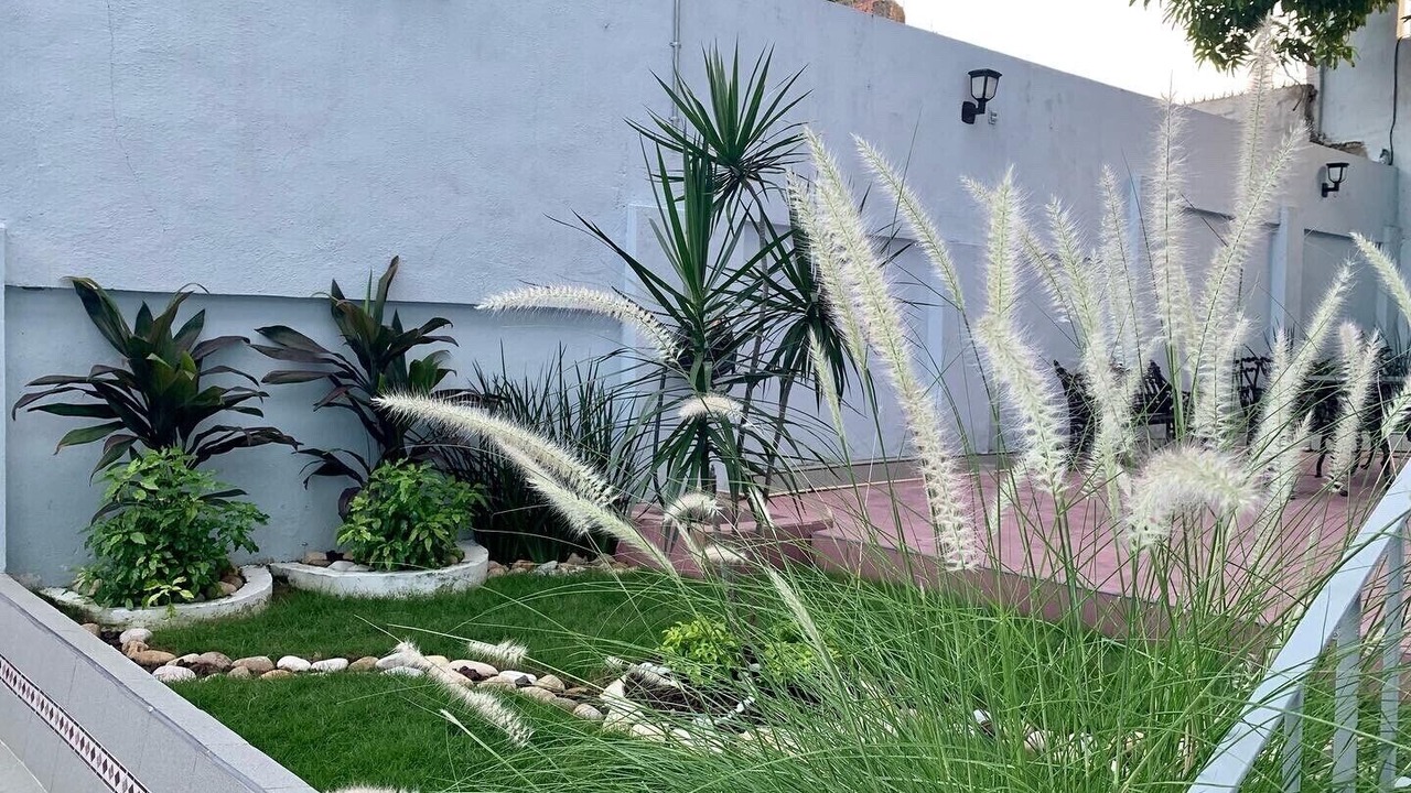 Photo of Outdoor in Tampico