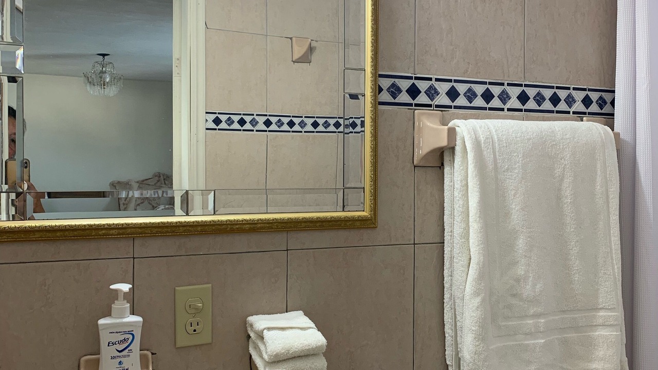Photo of Bathroom in Tampico