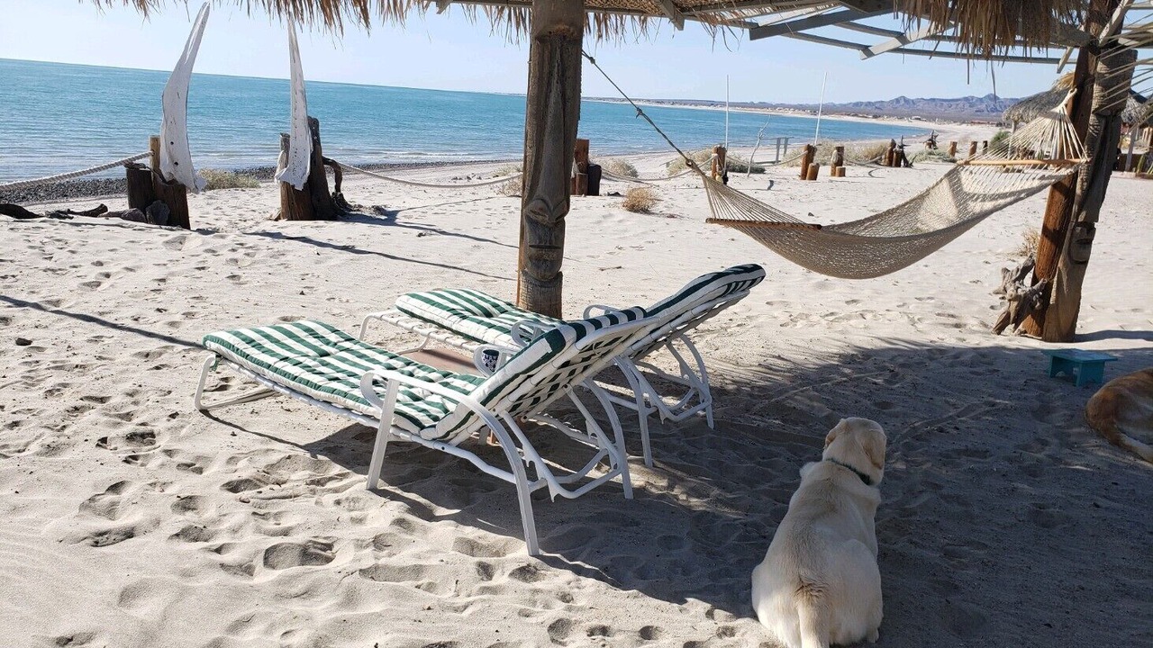 Photo of Others in San Felipe